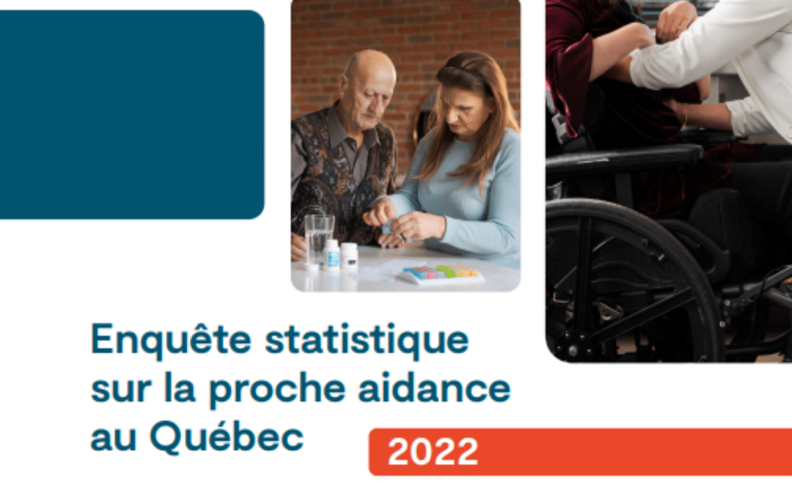 Image Enquête statistique sur la proche aidance au Québec - Appui