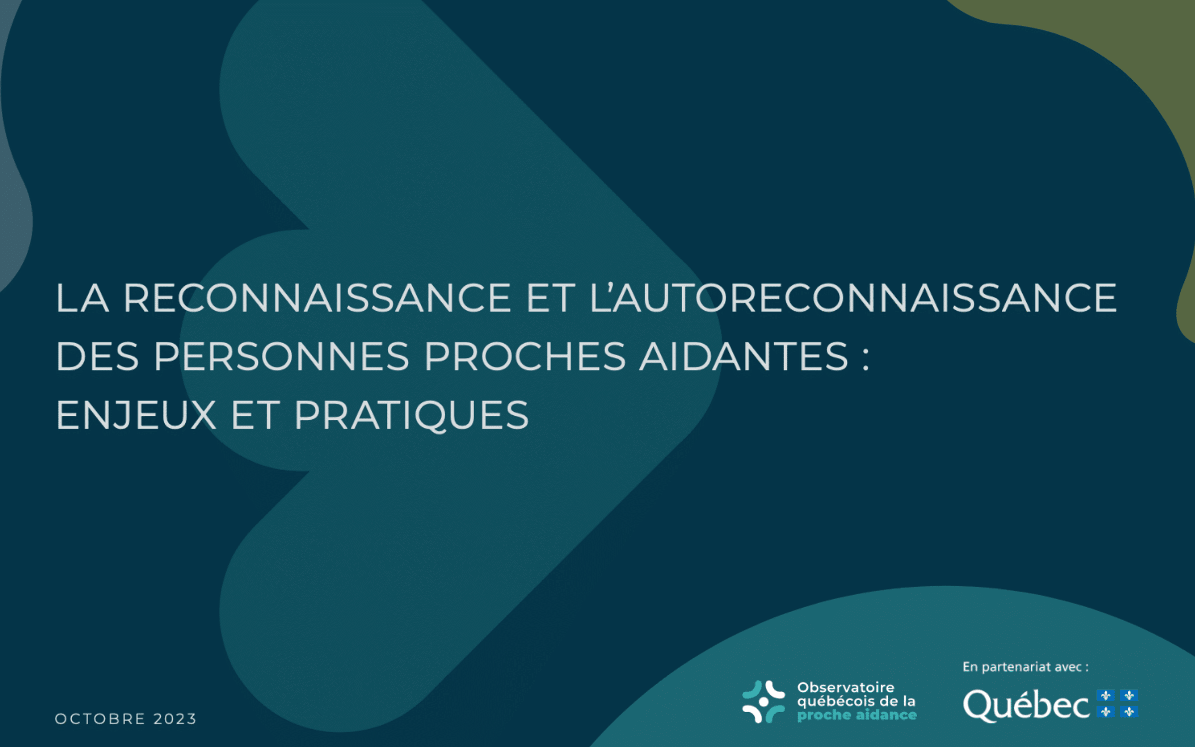 Image - Rapport Reconnaissance FR