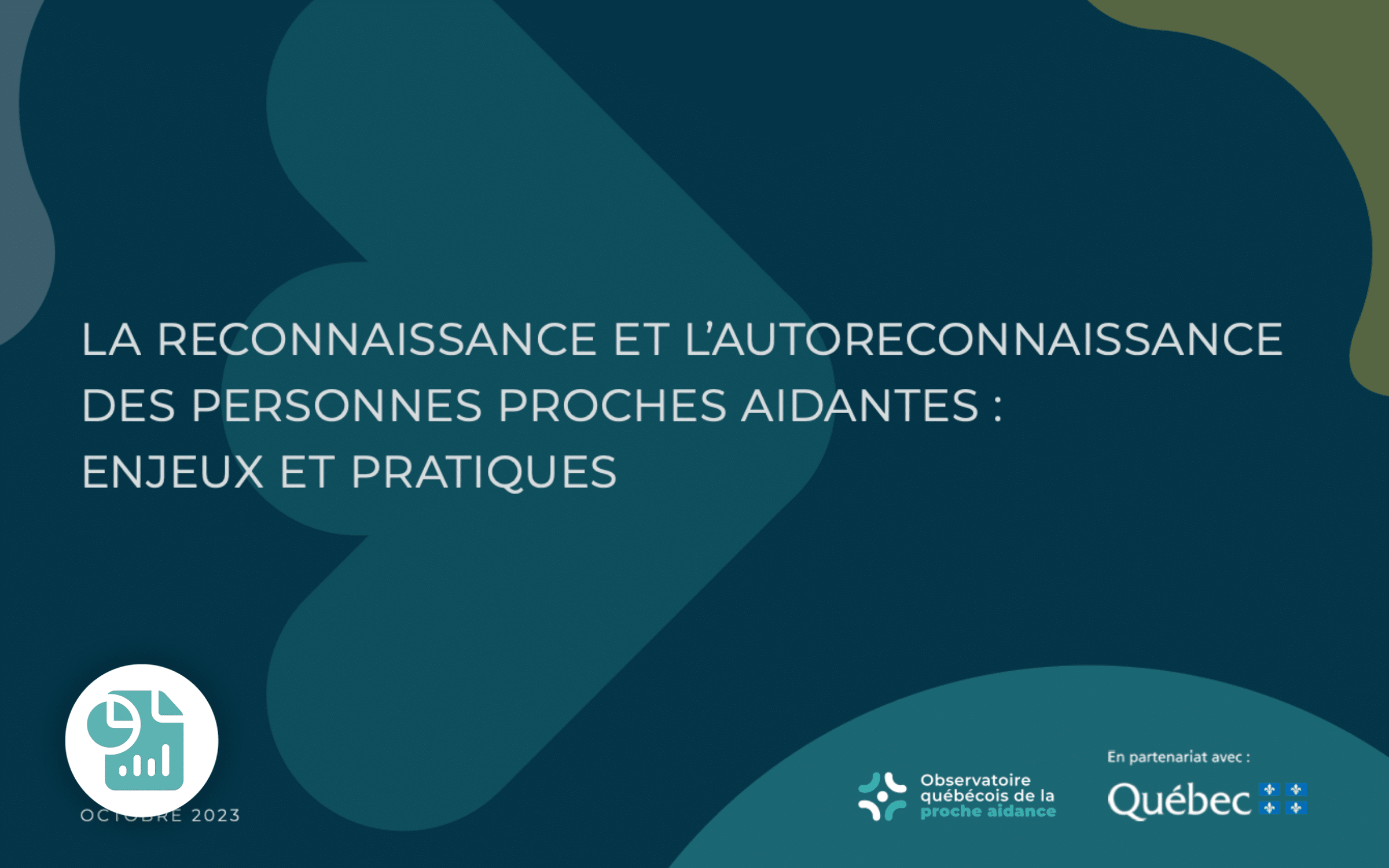 Image - Rapport Reconnaissance FR
