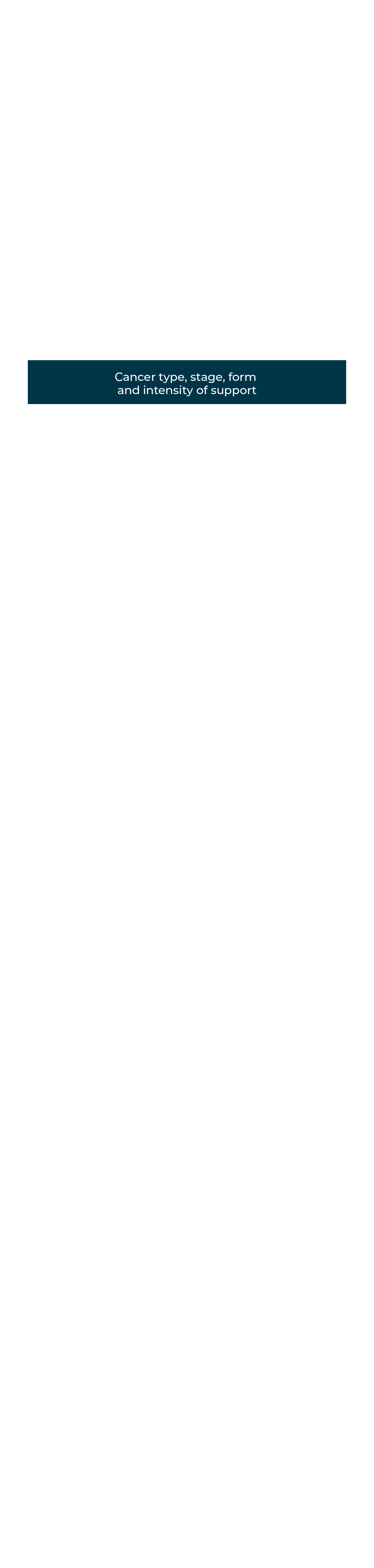 Cancer type, stage, form and intensity of support