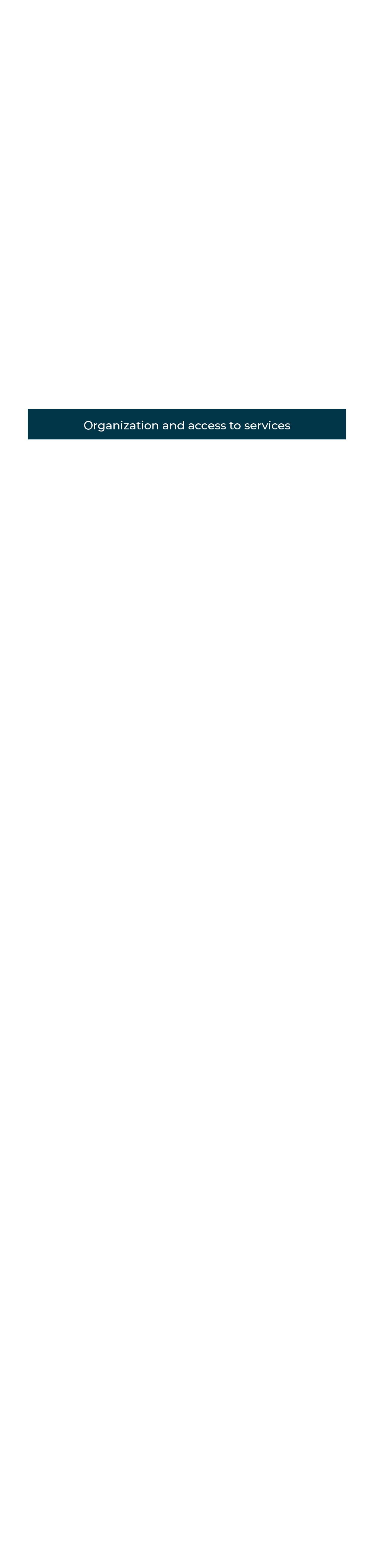 Organization and access to services
