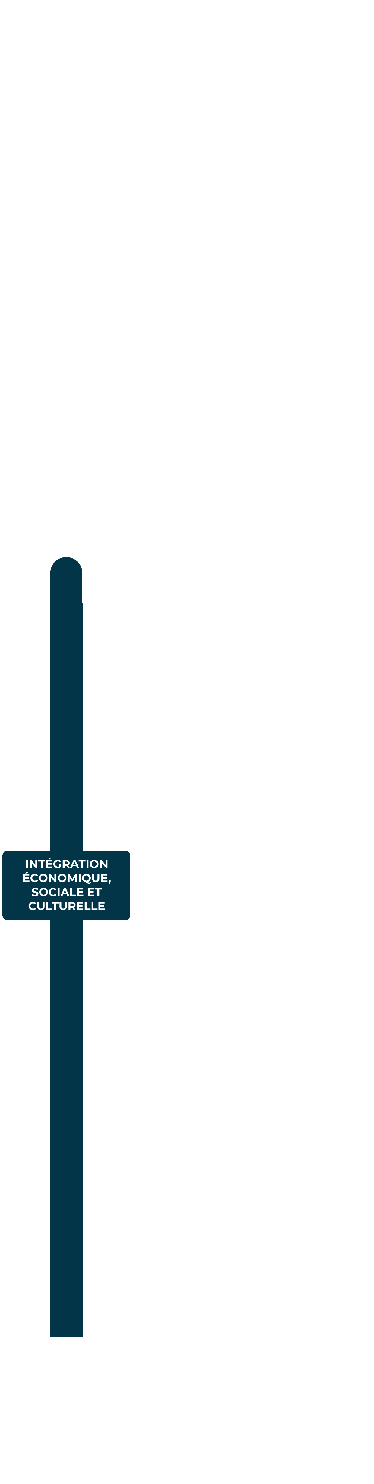 INTÉGRATION ÉCONOMIQUE, SOCIALE ET CULTURELLE