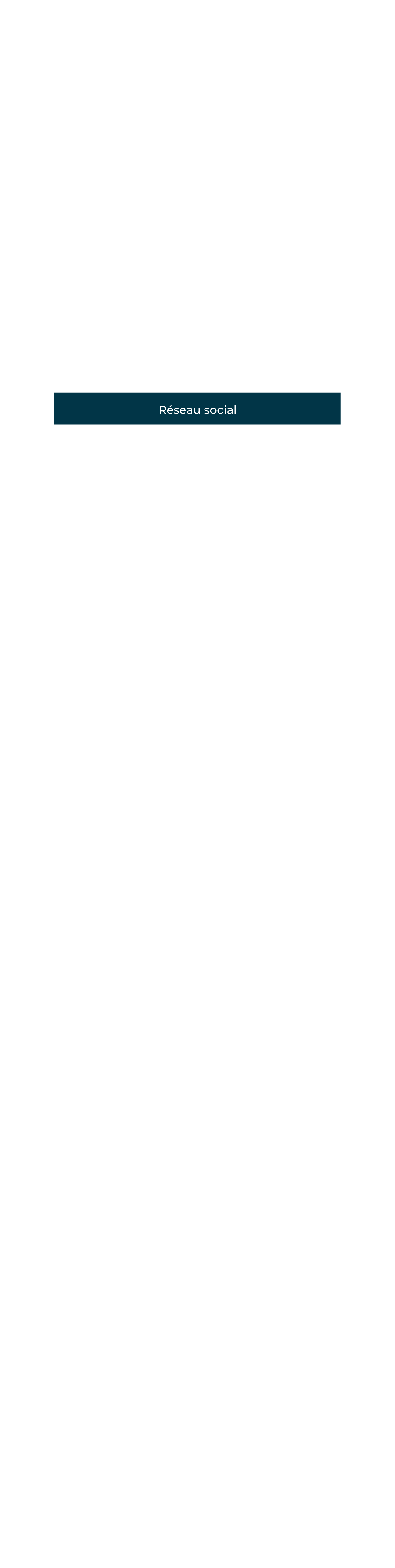 Réseau social
