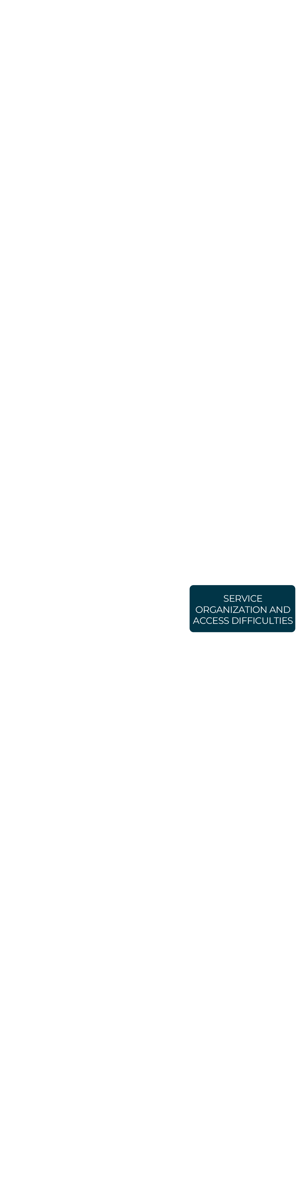 Service organization and access difficulties